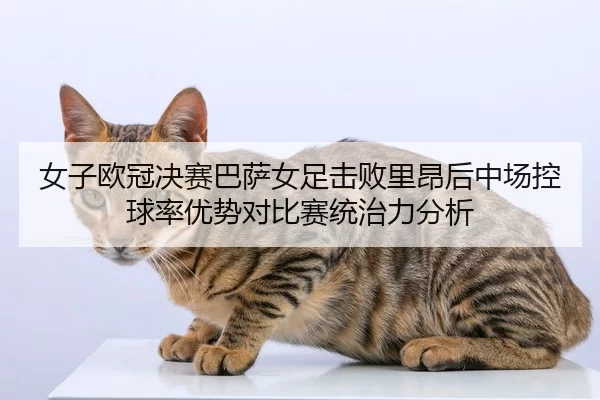 nv-zi-ou-guan-jue-sai-ba-sa-nv-zu-ji-bai-li-ang-hou-zhong-chang-kong-qiu-lv-you-shi-dui-bi-sai-tong-zhi-li-fen-xi-2-391.jpg